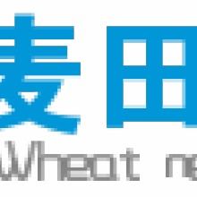 連接未來 解析鑫鋁麥田網(wǎng)絡(luò)工作室的網(wǎng)絡(luò)信息技術(shù)推廣服務(wù)